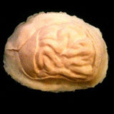 Haunts FX: Exposed Brain