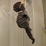 Dessicated Corpse - Female Torso