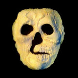 Haunts FX: Zombie Walker