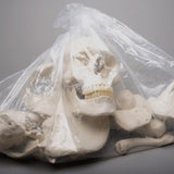 Large Bag of Bones, 2nd Class