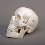 "Harvey" Skull, 1st Class